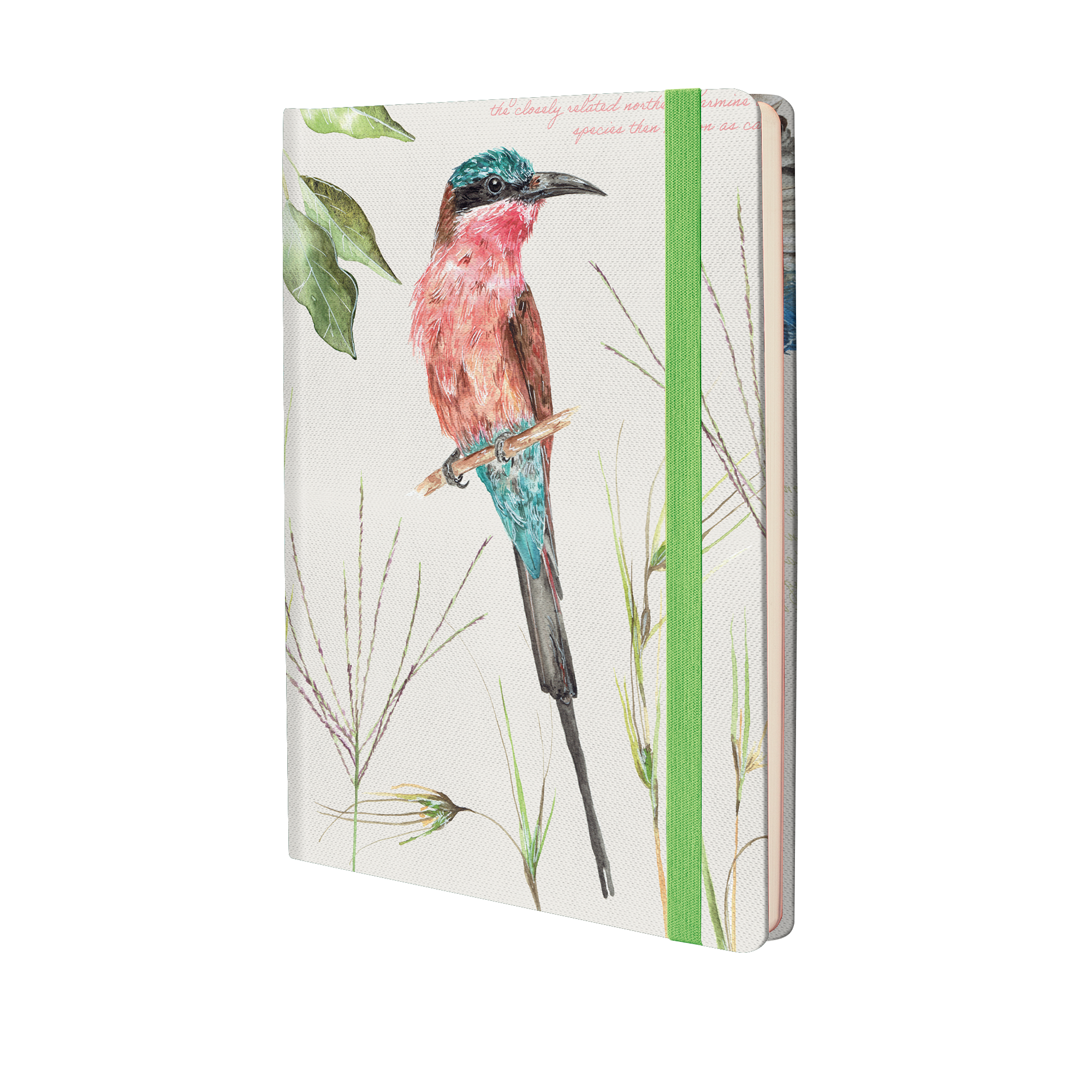 The Papery A5 Elegant African Birds Hardcover Journal