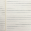A5 Hardcover Insect Theme Journal