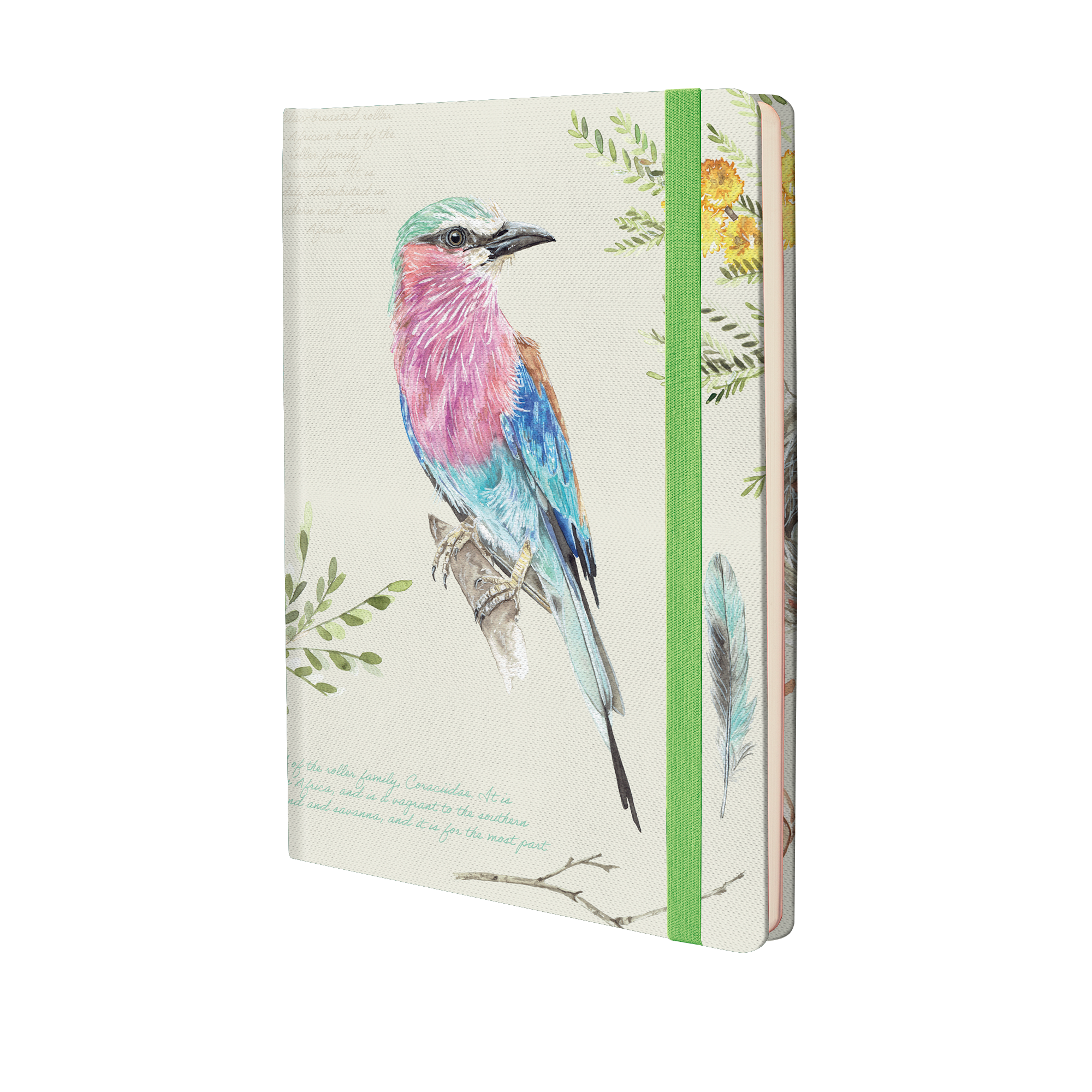 The Papery A5 Elegant African Birds Hardcover Journal